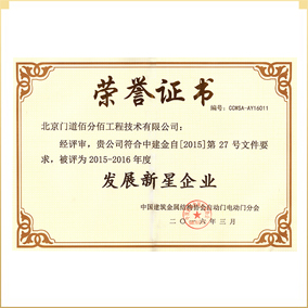 发展新星企业